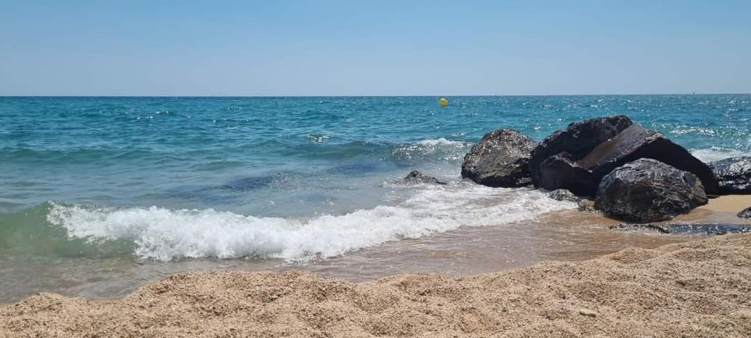Camping El Pinar Platja سانتا سوزانا المظهر الخارجي الصورة