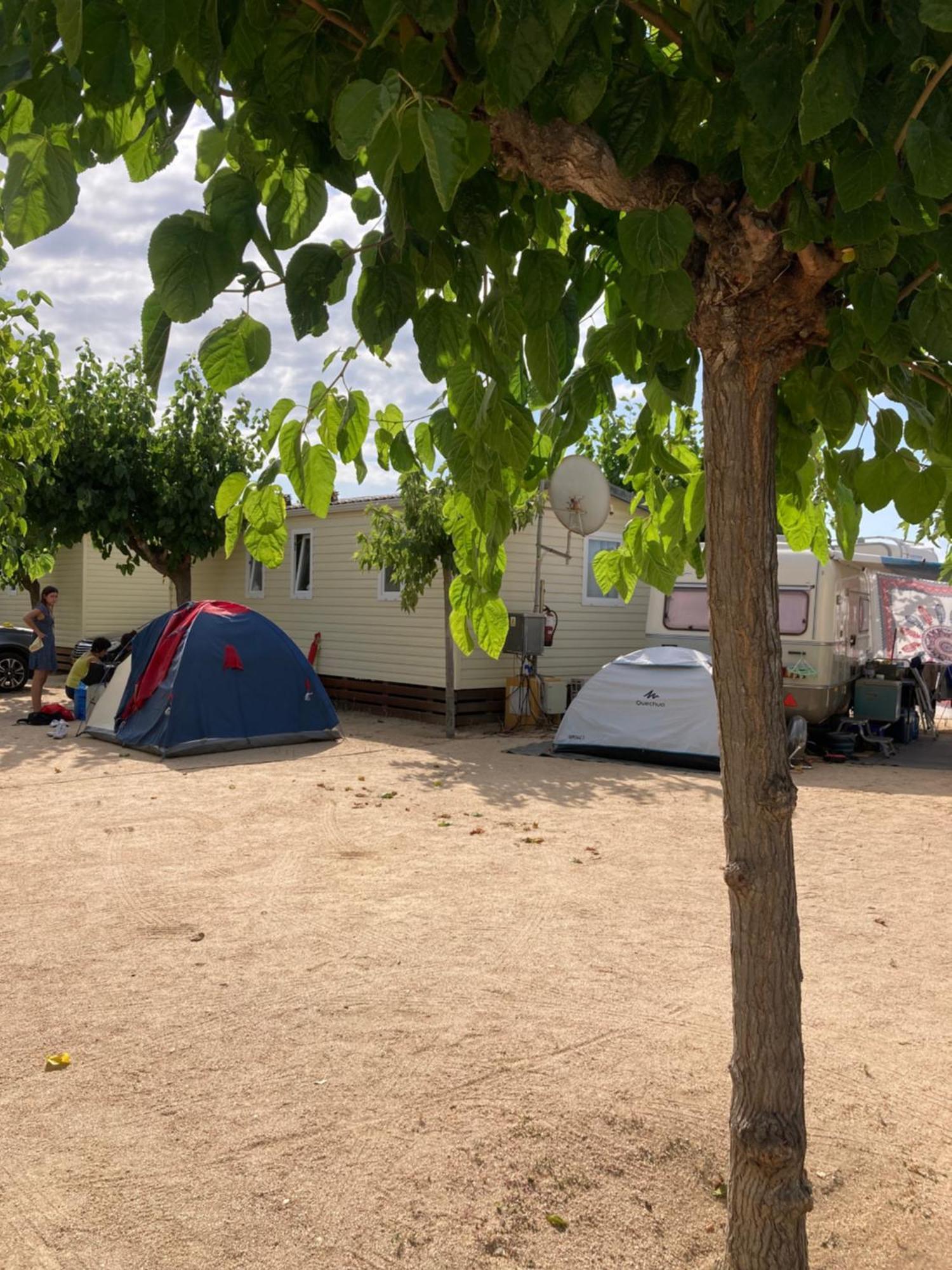 Camping El Pinar Platja سانتا سوزانا المظهر الخارجي الصورة